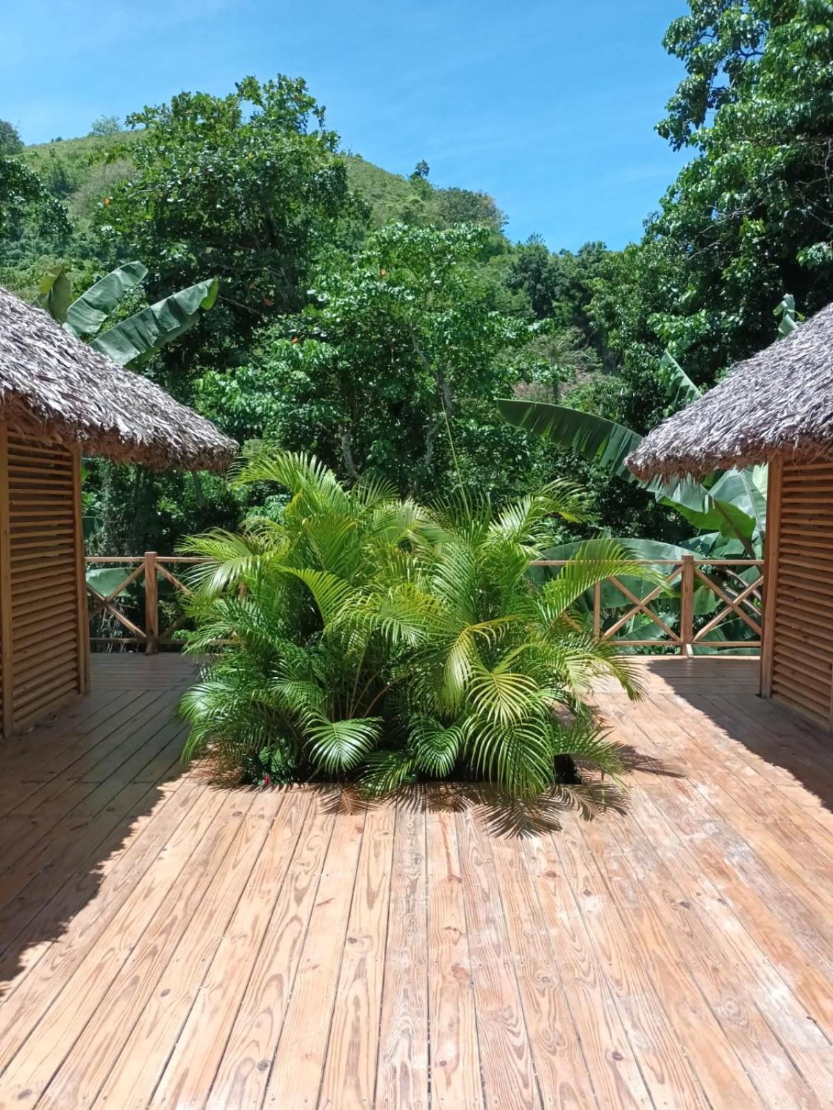 Samo Eco Lodge ラス・テレナス エクステリア 写真