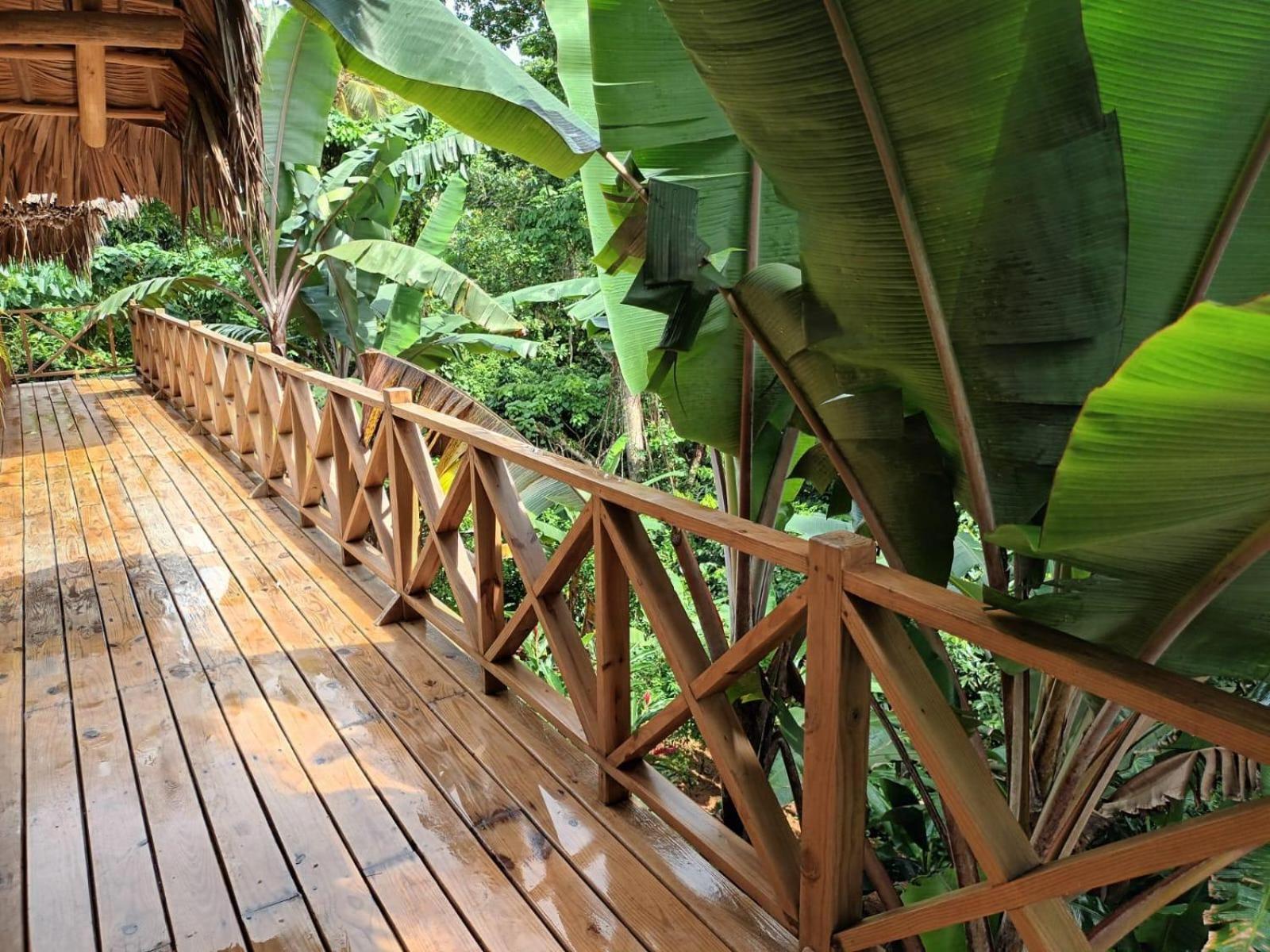 Samo Eco Lodge ラス・テレナス エクステリア 写真