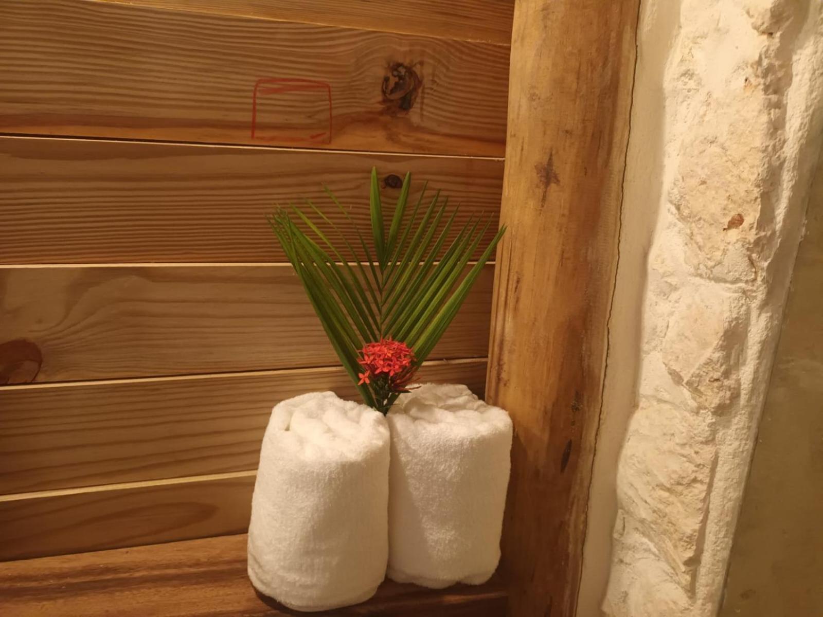 Samo Eco Lodge ラス・テレナス エクステリア 写真