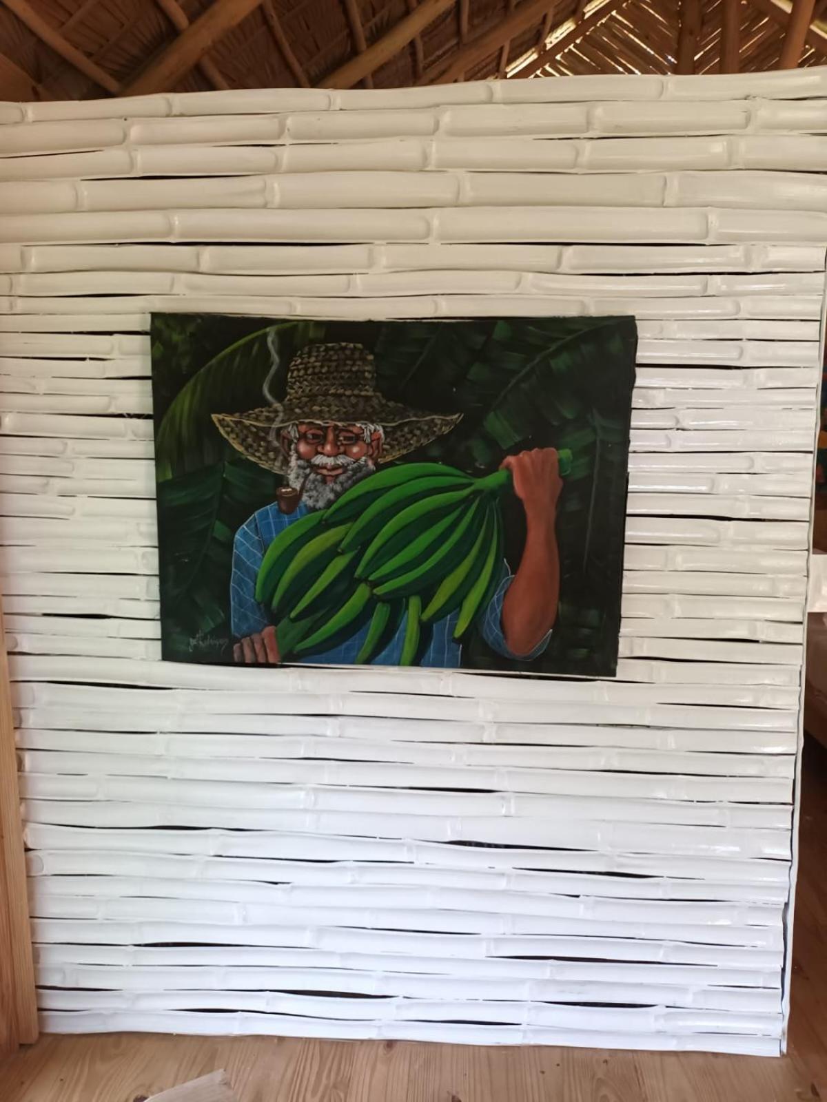Samo Eco Lodge ラス・テレナス エクステリア 写真