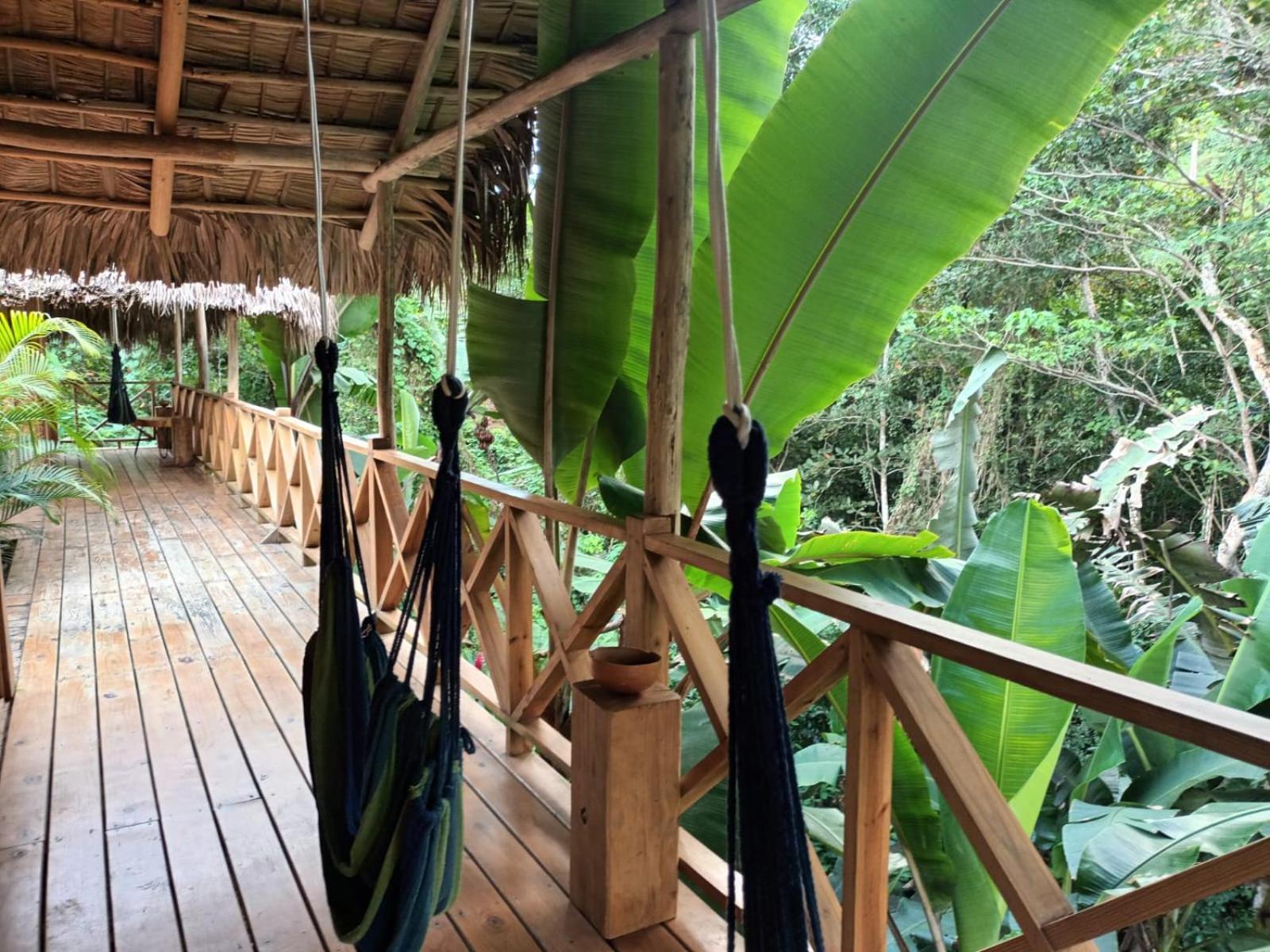 Samo Eco Lodge ラス・テレナス エクステリア 写真